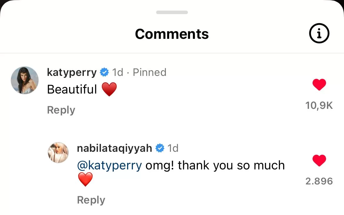 Coment Section dari Instagramnya setelah mendapat respon positif dari Katty Perry